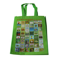 茂名LB11覆膜无纺布广告袋